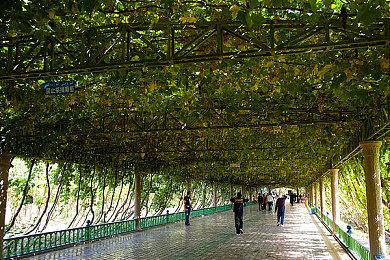 生存游戏《雾锁王国》崩溃修复后评价逐渐回暖